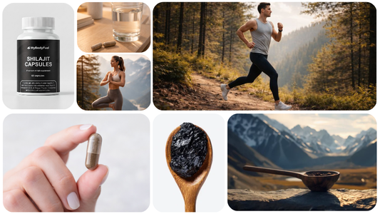 Was ist Shilajit und welche Wirkung hat es auf den Körper?