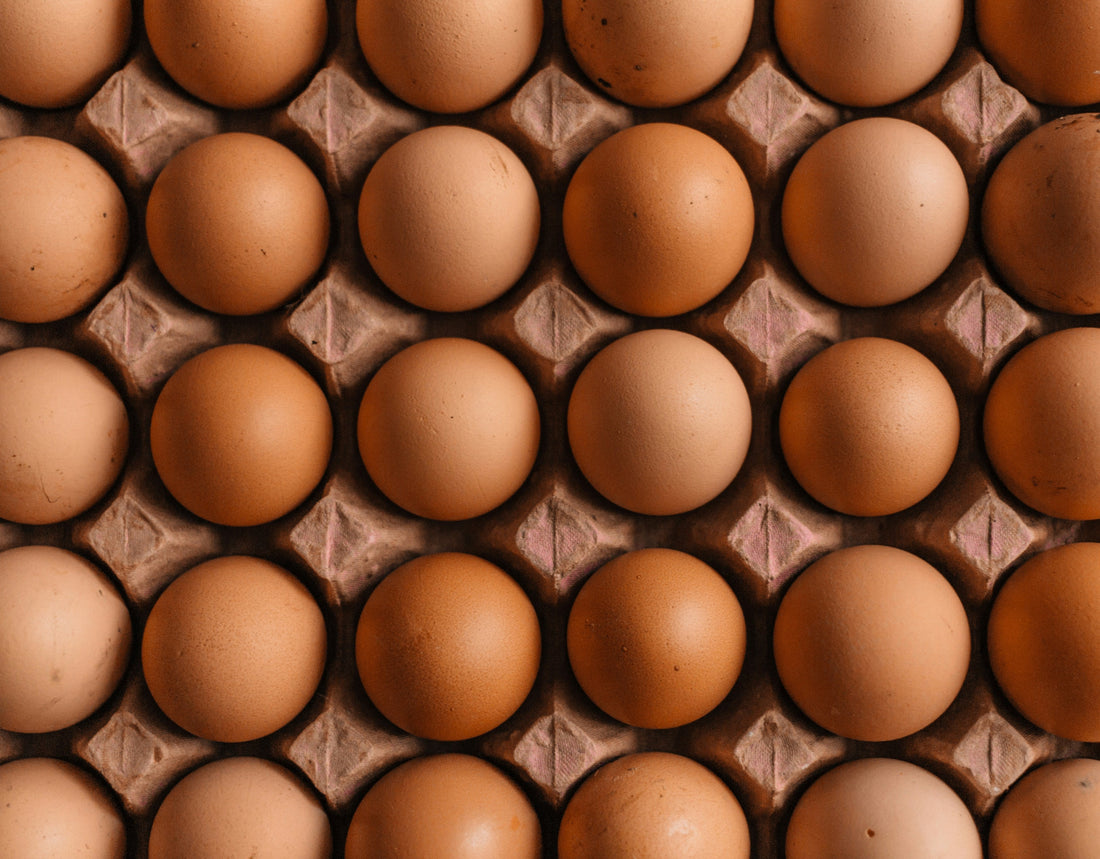 Wie viel Eiweiß brauchst du täglich für den Muskelaufbau?