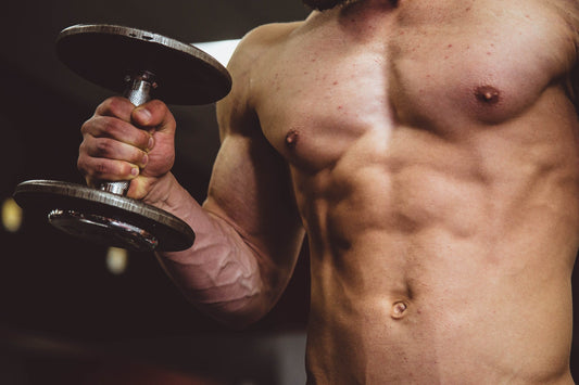 5 Tipps für ein verantwortungsvolles Bulking