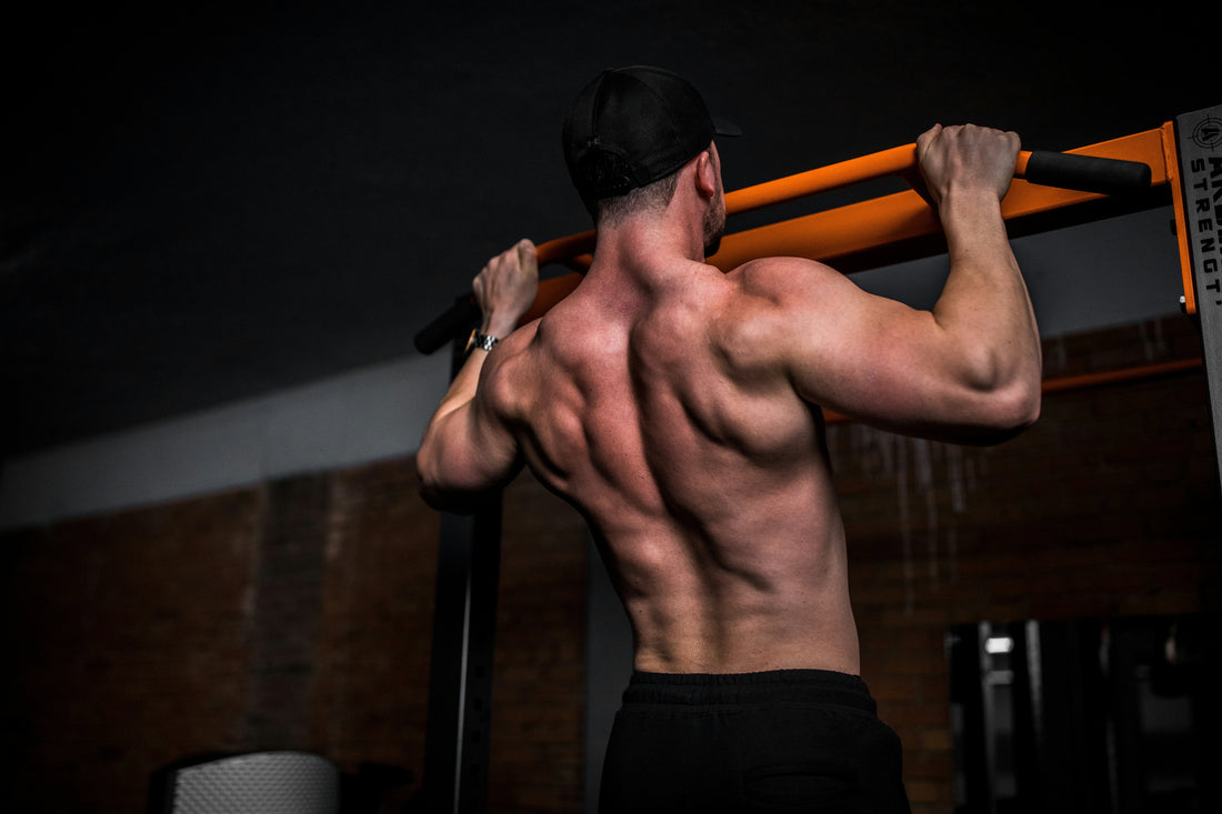 Welche Muskeln werden bei Pull-ups trainiert?