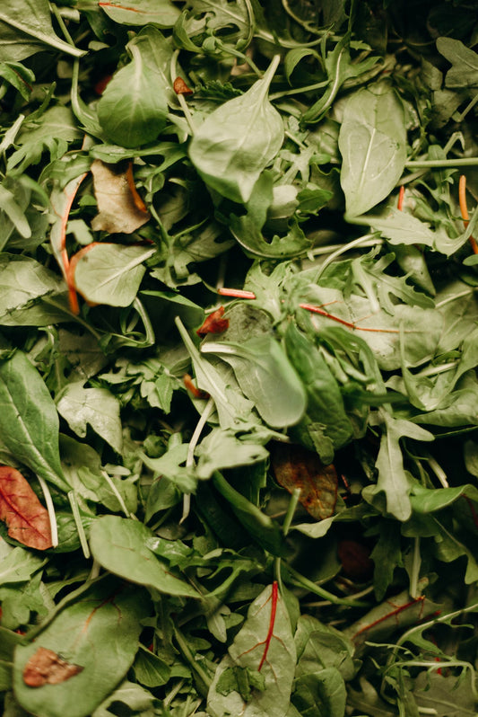 Was ist die Funktion von Vitamin K in unserem Körper?