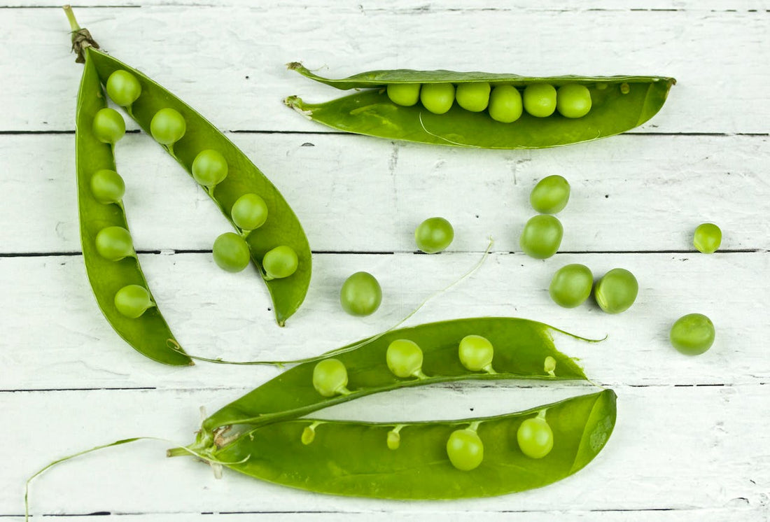 Worin ist Vitamin B1 enthalten?
