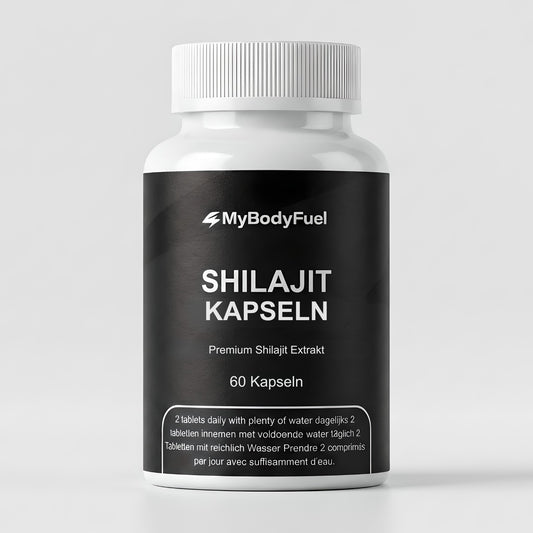 shilajit kapseln